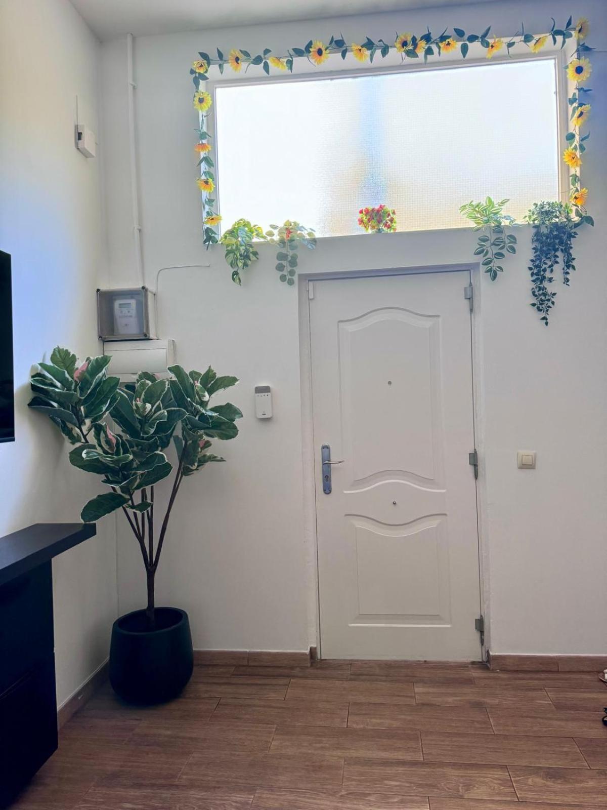 Pamis Apartament Sants, Barcelona Luaran gambar